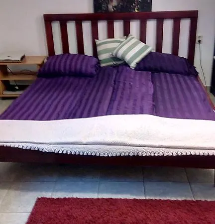 Nina サラエヴォ